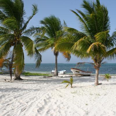 Tis Tulum Beach 11