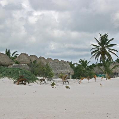 Tis Tulum Beach 17