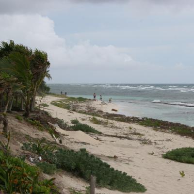 Tis Tulum Beach 1