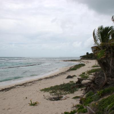 Tis Tulum Beach 2