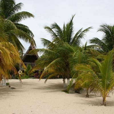 Tis Tulum Beach 4