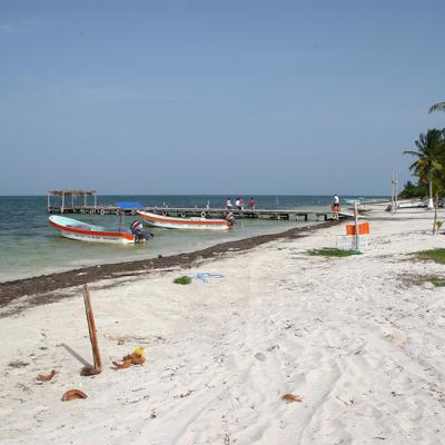 Tis Tulum Beach 9