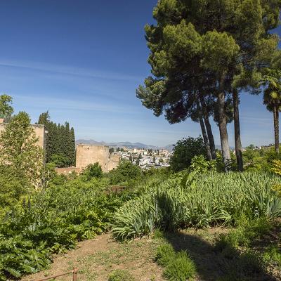 Granada 2024 72