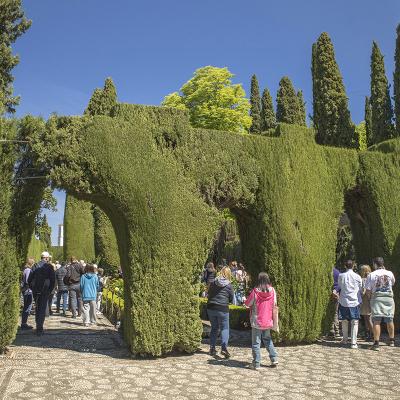Granada 2024 75
