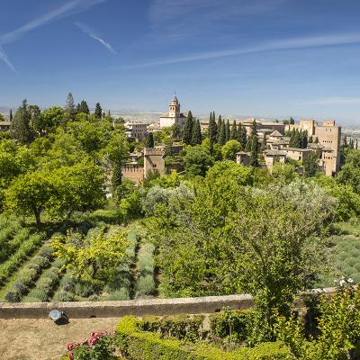 Granada 2024 80