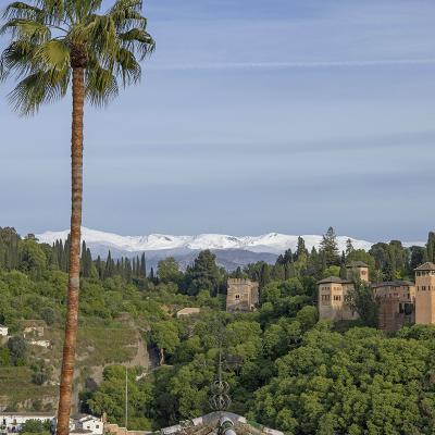 Granada 2024 8